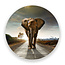 Sweet Living Wandcirkel Walking Elephant