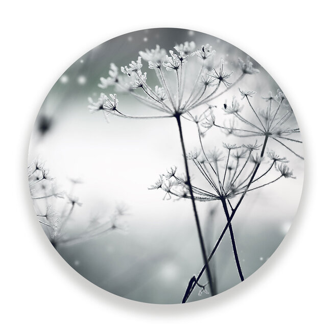 Sweet Living Wandcirkel Bevroren Bloem