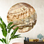 Sweet Living Muursticker Pearl Shell Gold