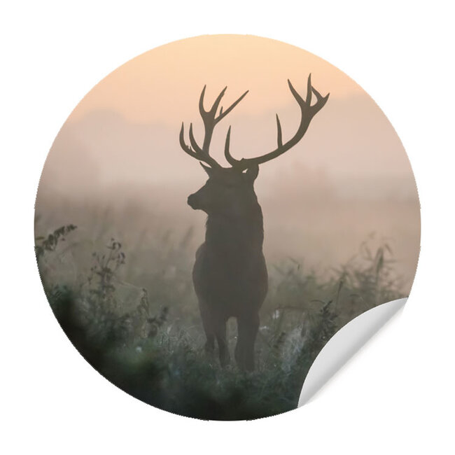 Sweet Living Muursticker Edelhert in de Mist