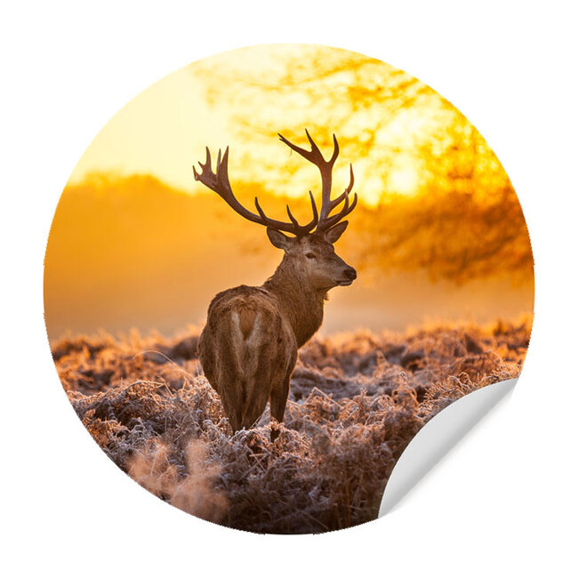 Sweet Living Muursticker Hert In De Ochtend