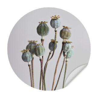 Sweet Living Muursticker Poppy Flowers Sweet Living Muursticker Poppy Flowers