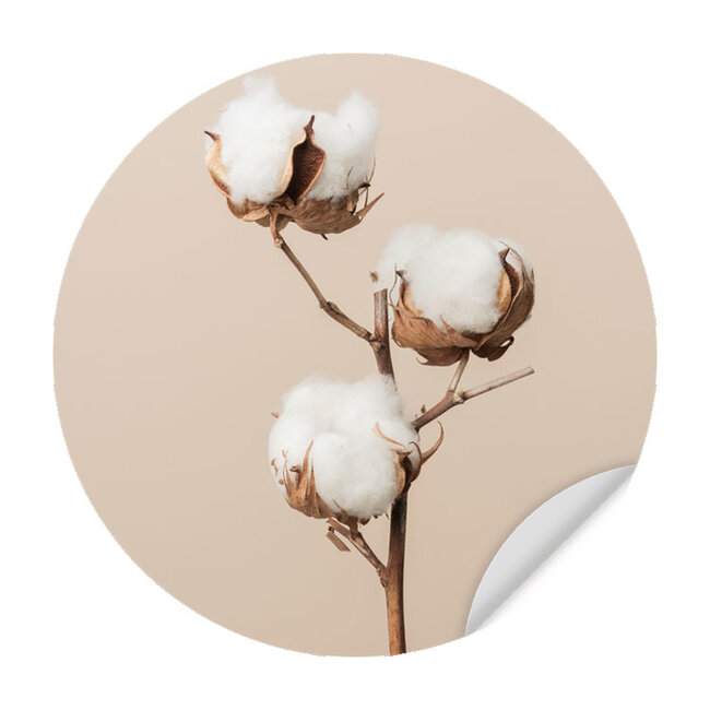 Sweet Living Muursticker Katoenplant