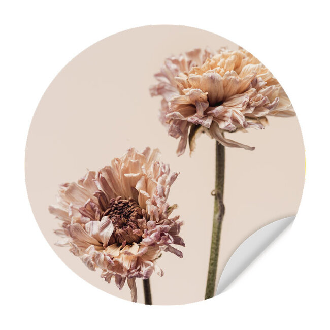 Sweet Living Muursticker Chrysanten