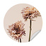 Sweet Living Muursticker Chrysanten