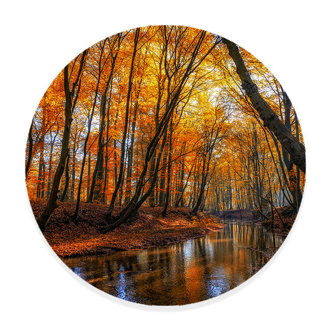 Sweet Living Wandcirkel Bos Rivier