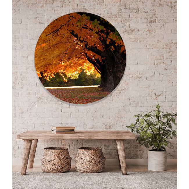 Sweet Living Muursticker Herfst Bomen