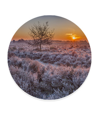 Sweet Living Behangcirkel Heide in de Winter