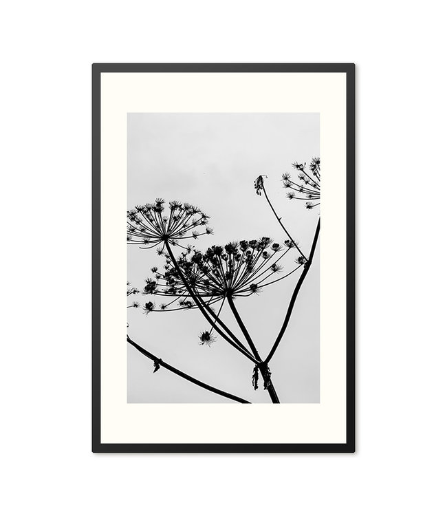 Sweet Living Poster in lijst Hogweed Silhouette