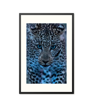 Sweet Living Poster in Lijst Leopard