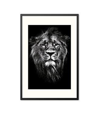 Sweet Living Poster in Lijst Impressive Lion