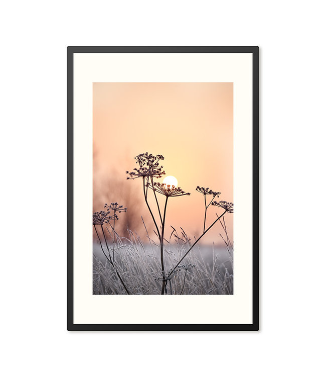 Sweet Living Poster in Lijst Cold Flowers