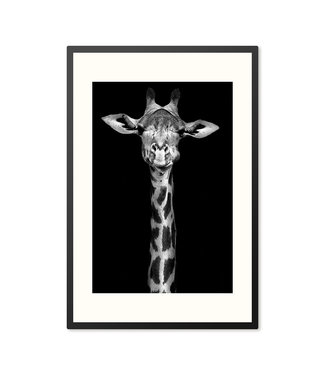 Sweet Living Poster in Lijst Giraffe Zwart/Wit