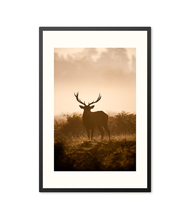 Sweet Living Poster in Lijst Autumn Deer