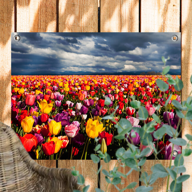 Sweet Living Tuinposter Kleurrijk Tulpenveld