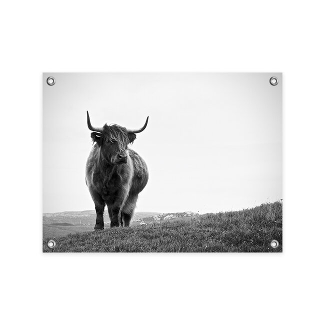 Sweet Living Tuinposter Hooglander Zwart Wit