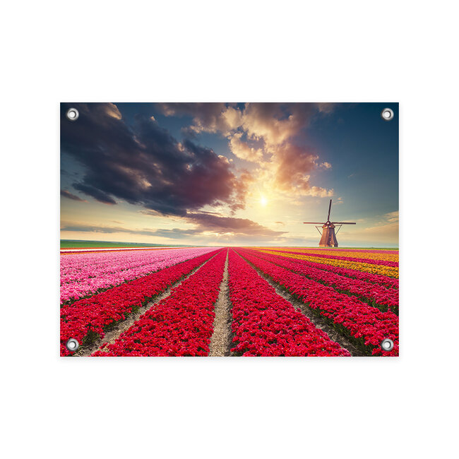 Sweet Living Tuinposter Hollands Tulpenveld
