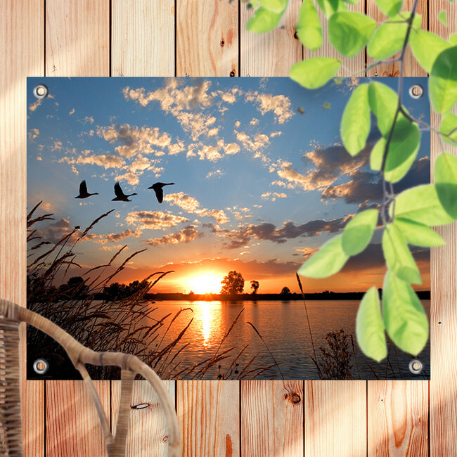 Sweet Living Tuinposter Vliegende Ganzen