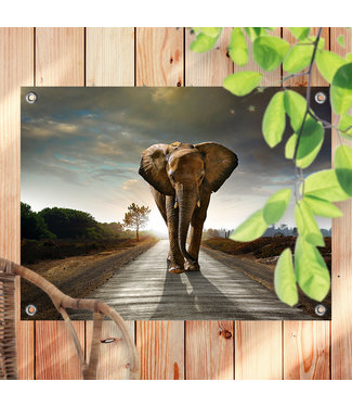 Sweet Living Tuinposter Walking Elephant