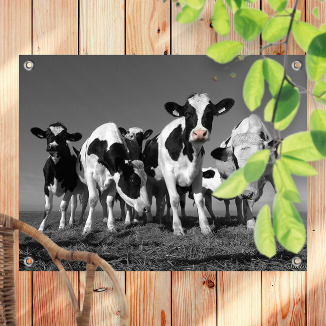 Sweet Living Tuinposter Vrolijke Koeien