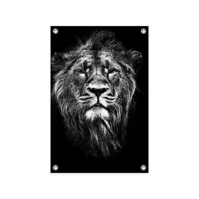 Sweet Living Tuinposter Impressive Lion