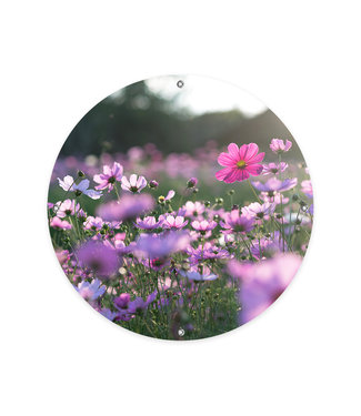 Sweet Living Ronde Tuinposter Cosmea Bloemen