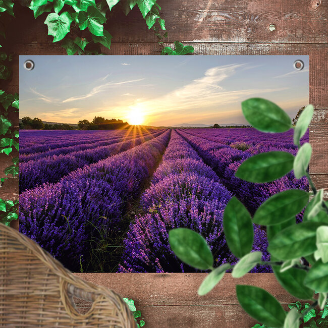 Sweet Living Tuinposter Lavendel Bloemeveld