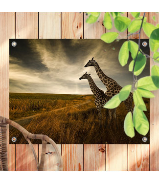 Sweet Living Tuinposter Twee Giraffes