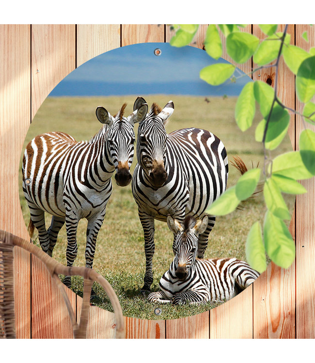 Sweet Living Ronde Tuinposter Drie Zebra's