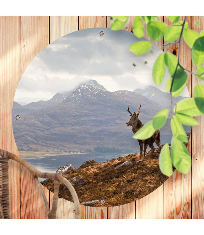 Sweet Living Ronde Tuinposter Een Hert in het Schotse Hoogland