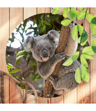 Sweet Living Ronde Tuinposter Koala