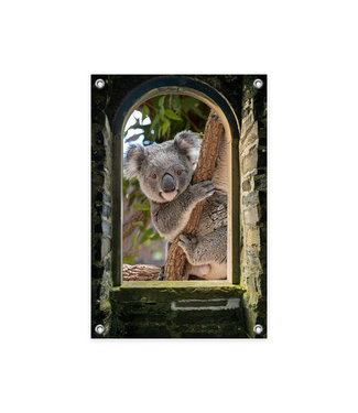 Sweet Living Tuinposter Doorkijk Koala
