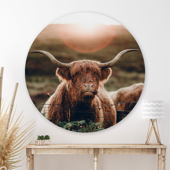 Sweet Living Wandcirkel Highland Cow In The Sun
