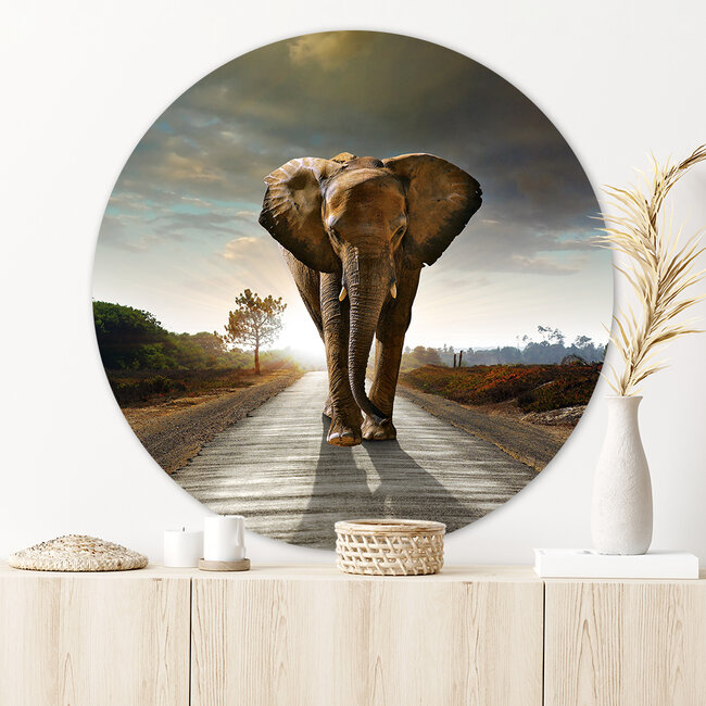 Sweet Living Wandcirkel Walking Elephant