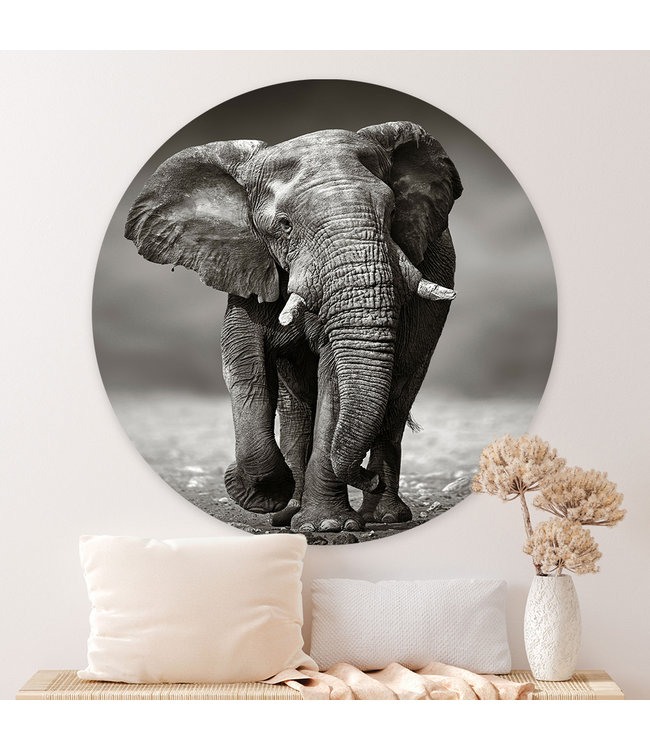 Sweet Living Wandcirkel Afrikaanse Olifant