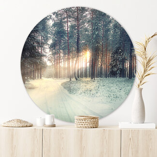 Sweet Living Wandcirkel Dennenbos