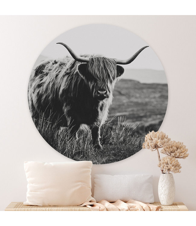 Sweet Living Wandcirkel Hooglander Stier