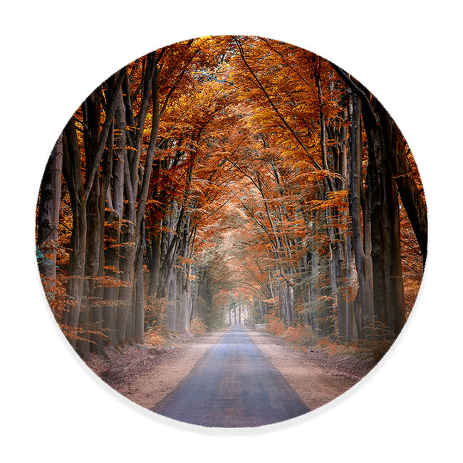 Sweet Living Wandcirkel Weg in de Herfst