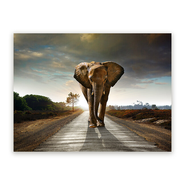 Sweet Living Schilderij Walking Elephant