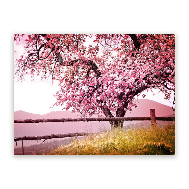 Sweet Living Schilderij Bloesem