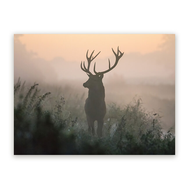 Sweet Living Schilderij Edelhert in de Mist