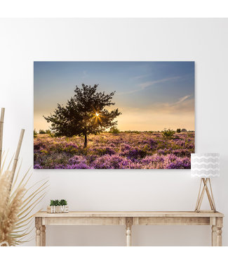 Sweet Living Schilderij Heide