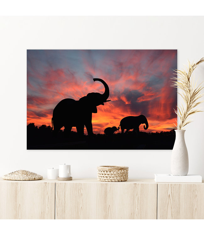 Sweet Living Schilderij Sunset Elephants