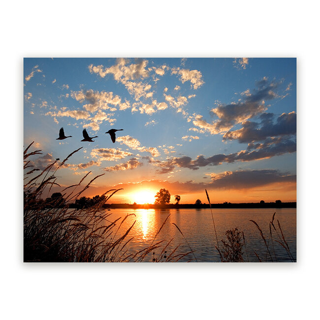 Sweet Living Schilderij Vliegende Ganzen