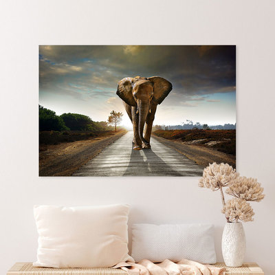 Schilderij XXL Moderne schilderijen en canvas kopen