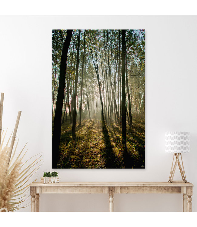 Sweet Living Schilderij Sunrise Forest