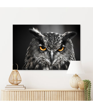 Sweet Living Schilderij Eagle Owl