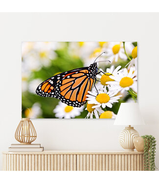 Sweet Living Schilderij Monarch Butterfly