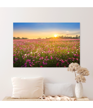 Sweet Living Schilderij Bloemenveld Landschap Zonsondergang