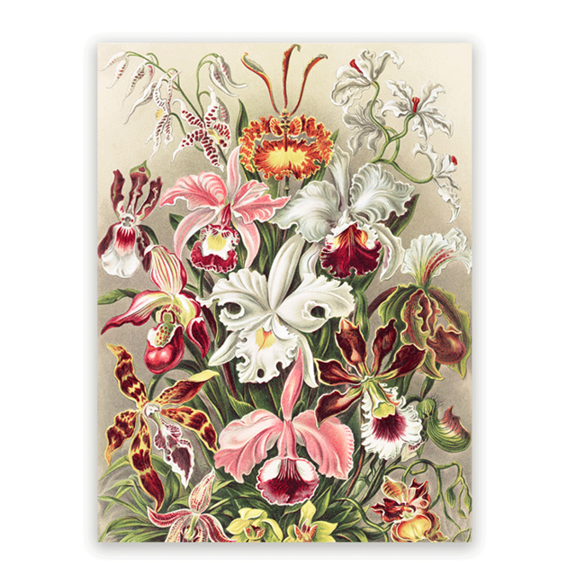 Sweet Living Schilderij Gekleurde Orchidee